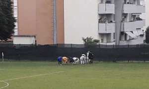 arona raccolta pezzi