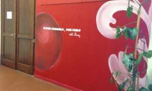 atriocadornaveronlus