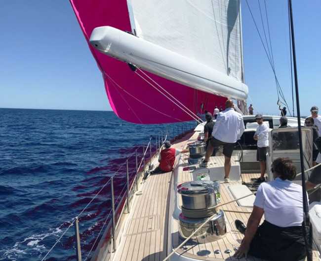 auguadro matteo pink gin