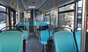 bus interno