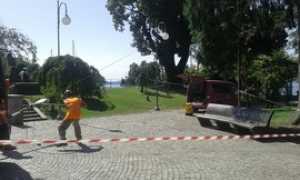 canforo pallanza esami