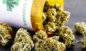 cannabis terapeutica 2