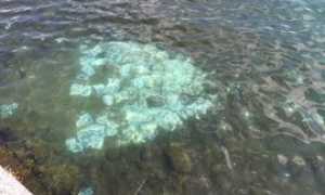 carta lago sett 2015