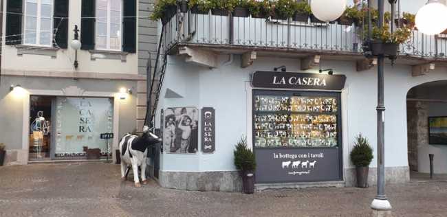 casera 20
