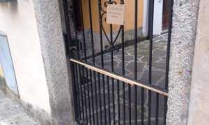 chiodi gatti pallanza