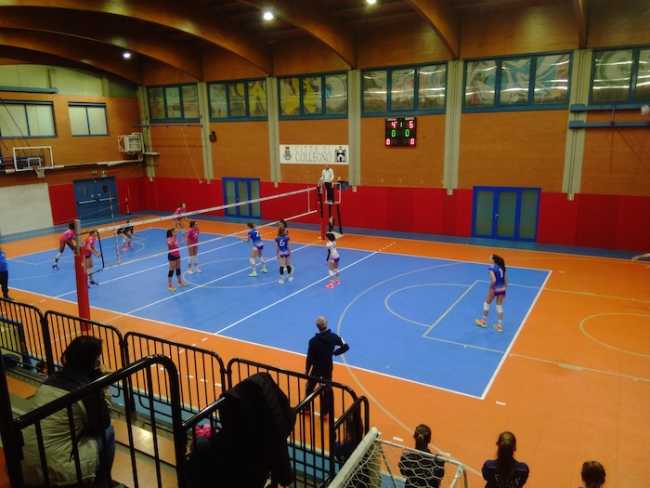 collegno vega