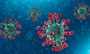 coronavirus