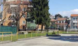 crocetta parco