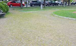 erbacce sfalcio 1704