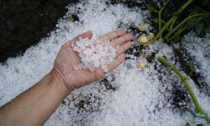 first snow 1821255 640