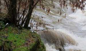 fiume p