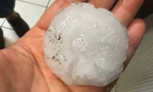 grandine locarno ago 23 9