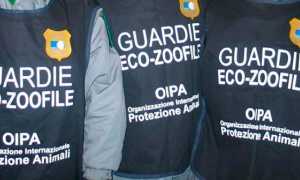 guardie oipa