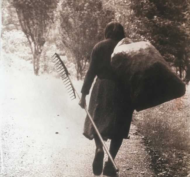 image 26 03 22 09 11