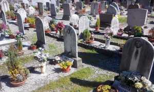 image 405652 900 600