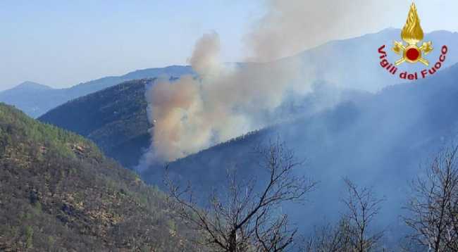 incendio bis cicogna