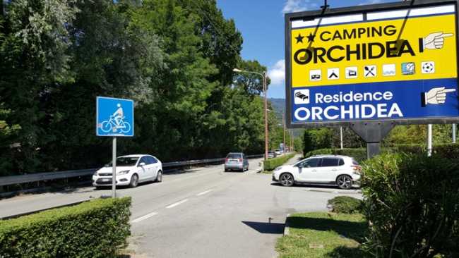ingresso orchidea