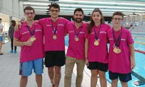 insubrika bellinzona