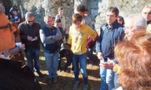 lesa cavallini incontro