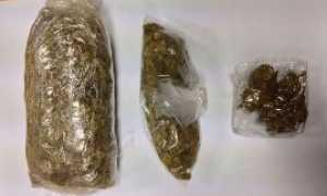 marijuana vb profugo