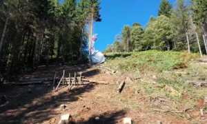 mottarone disboscato