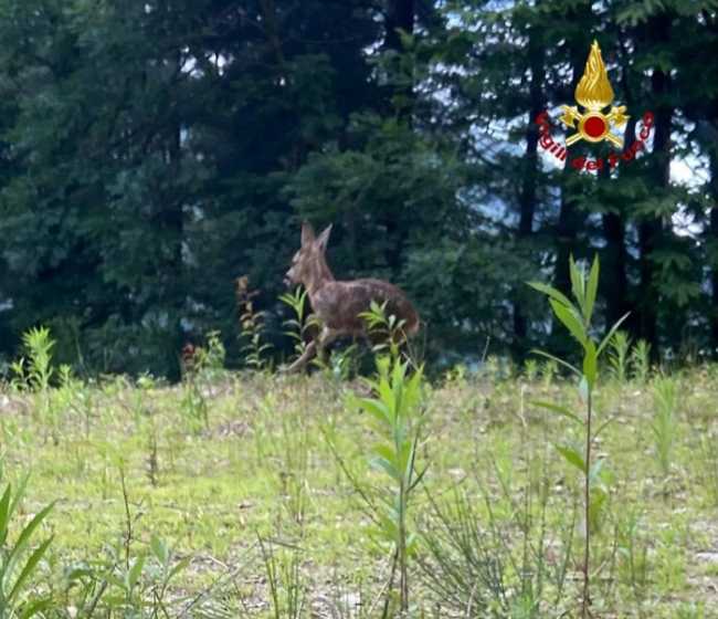 msg 1001326619166 1654