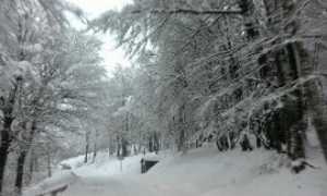 neve piancavallo 2016