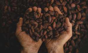 pablo merchan montes SCbq6uKCyMY unsplash