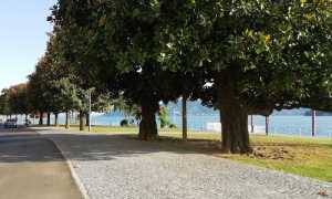 pallanza lungolago2