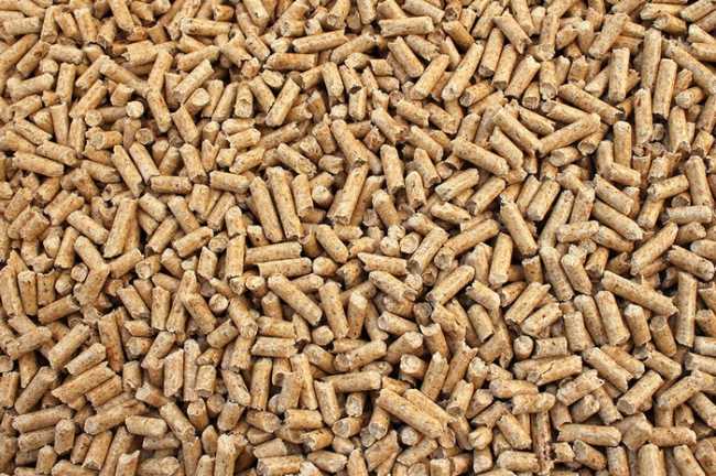 pellet