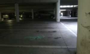 piazza gemellate vandali 2015