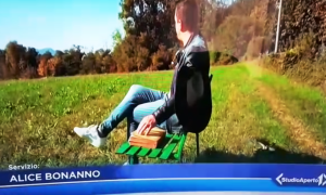 ranieri studio aperto