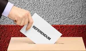 referendum