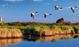 riserve biosfera cover