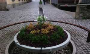 roggia intra fiorita