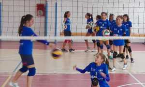 rosaltiora 28gennaio