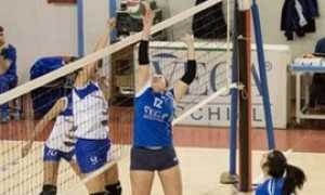 rosaltiora genn 16 6