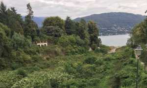 selvaspessa torrente