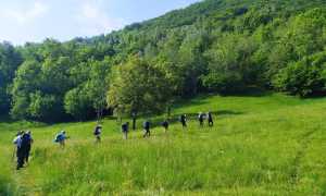 sentiero chiovini provola copy 