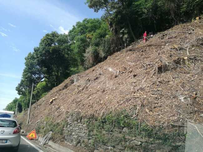 statale34 lavori00001 copia