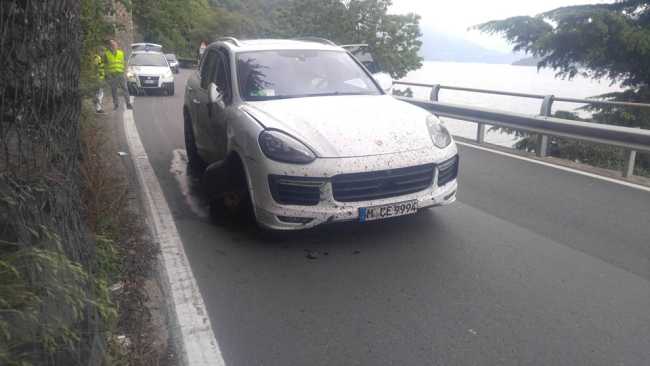 tedesco inc cannobio