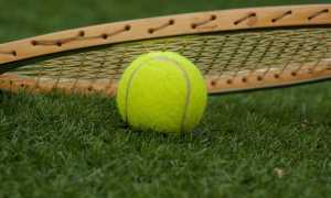 tennis ball 1162631 640