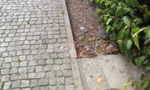 tombini sporchi tonazzi