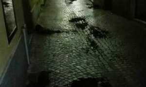 vandali san fabiano genn 16