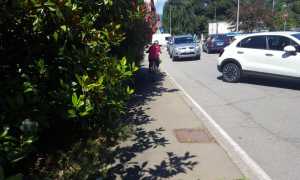 verde infestante trib 3