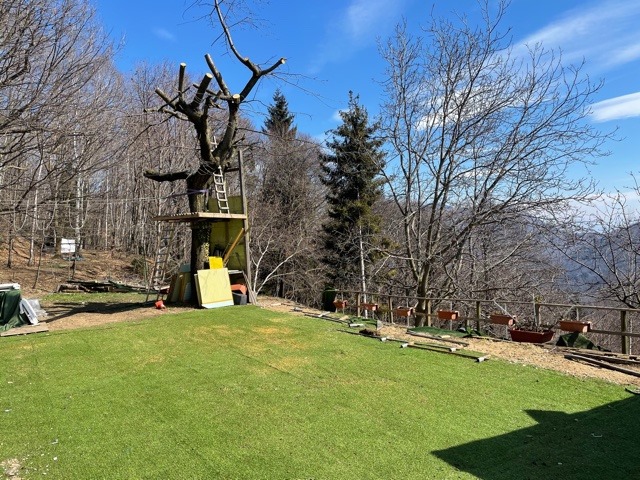 162854186 10224880549424101 7342241291180767770 n