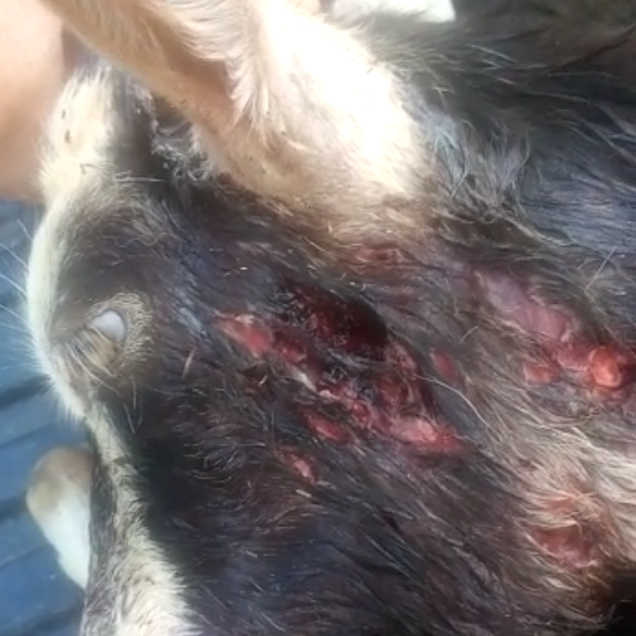 Schermata 2022 08 05 alle 10.06.30