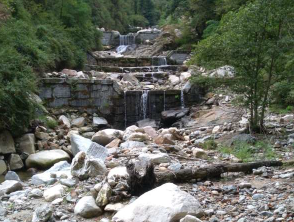 torrente selvaspessa