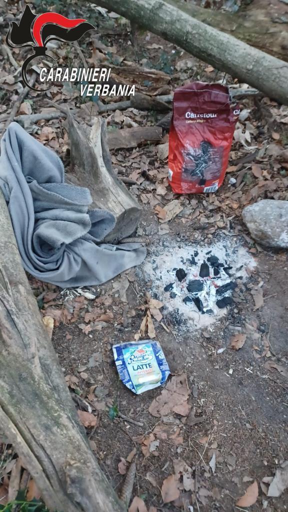 WhatsApp Image 2023 03 14 at 12.07.00