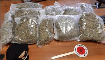 cc imperia marijuana